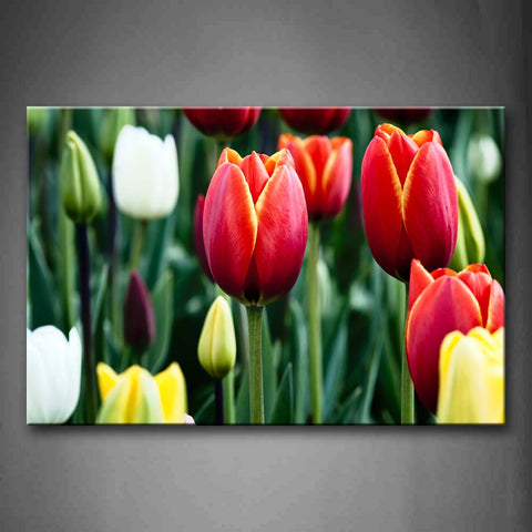 Colorful Flower With Green Leafs Wall Art Painting The Picture Print On Canvas Flower Pictures For Home Decor Decoration Gift 