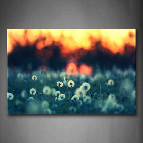 Dandelion In Grass At Sunset Wall Art Painting Pictures Print On Canvas Flower The Picture For Home Modern Decoration 