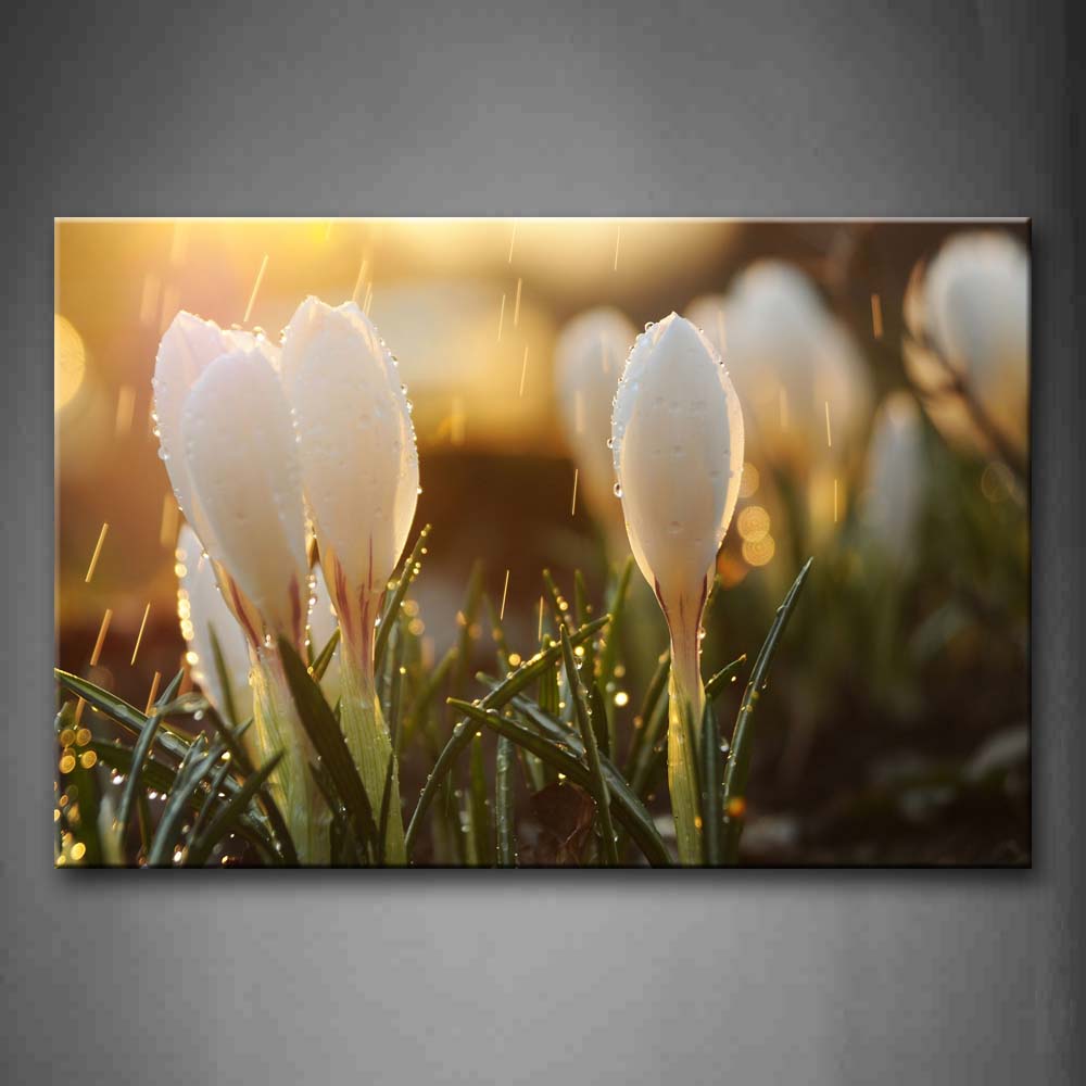White Flower With Green Leafs Raining Wall Art Painting The Picture Print On Canvas Flower Pictures For Home Decor Decoration Gift 