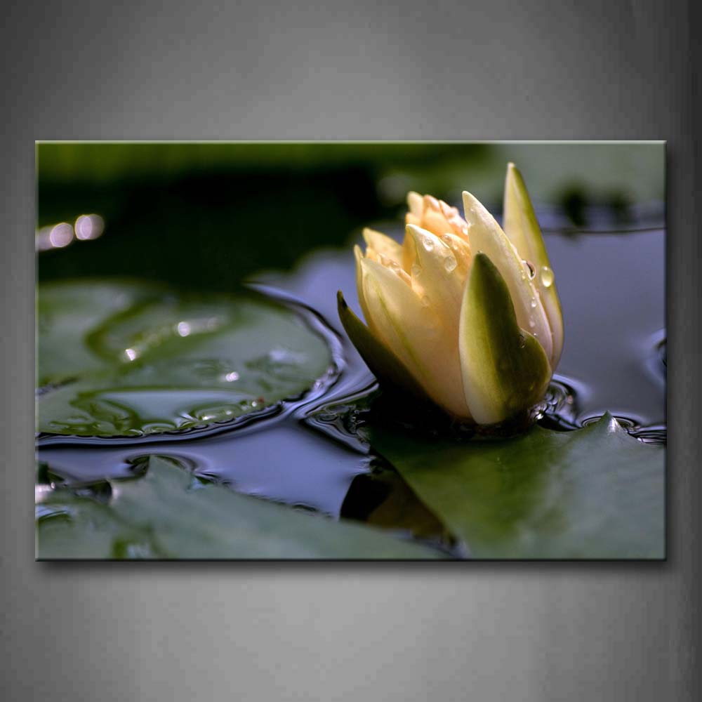 Yellow And White Flower With Green Leafs On Water Wall Art Painting Pictures Print On Canvas Flower The Picture For Home Modern Decoration 