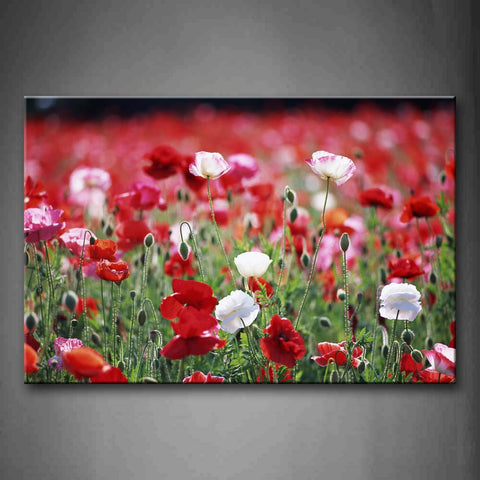 Red And White Flower Field Wall Art Painting Pictures Print On Canvas Flower The Picture For Home Modern Decoration 