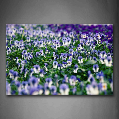 Blue And White Pansys Portrait Wall Art Painting Pictures Print On Canvas Botanical The Picture For Home Modern Decoration 