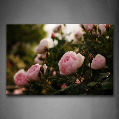 Pink Roses With Leafs Wall Art Painting Pictures Print On Canvas Flower The Picture For Home Modern Decoration 