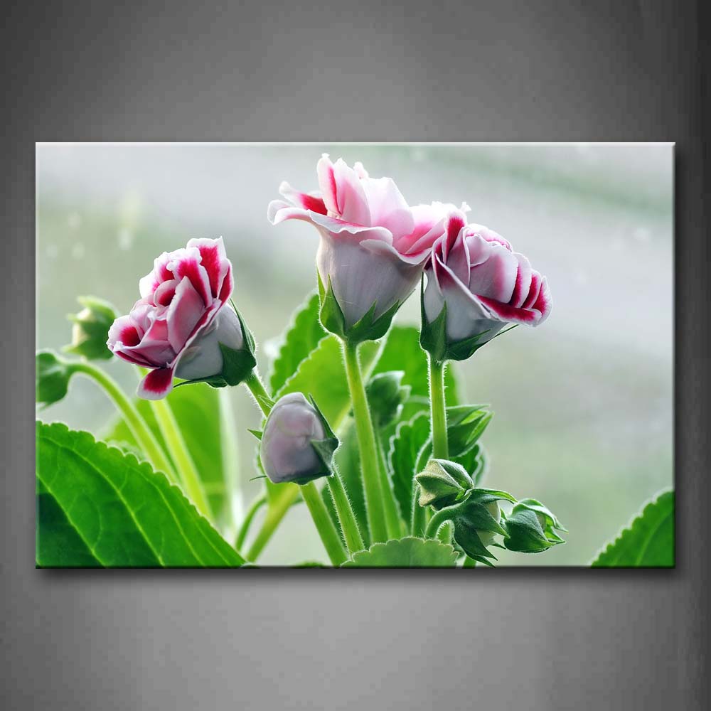 White And Red Flower With Green Leafs  Wall Art Painting The Picture Print On Canvas Flower Pictures For Home Decor Decoration Gift 