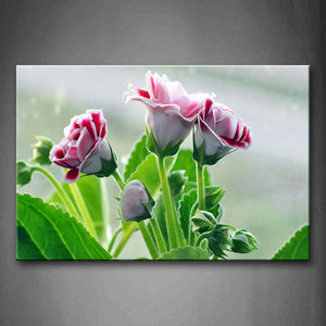 White And Red Flower With Green Leafs  Wall Art Painting The Picture Print On Canvas Flower Pictures For Home Decor Decoration Gift 
