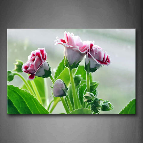 White And Red Flower With Green Leafs  Wall Art Painting The Picture Print On Canvas Flower Pictures For Home Decor Decoration Gift 