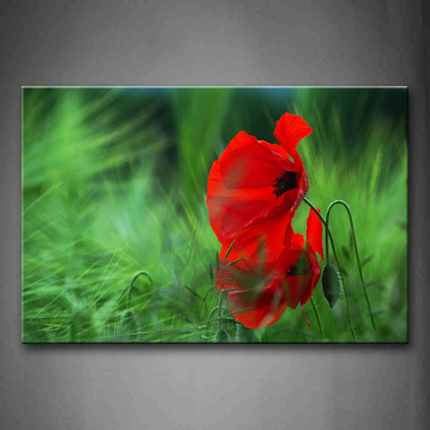 Red Poppy In Green Grass Wall Art Painting The Picture Print On Canvas Flower Pictures For Home Decor Decoration Gift 