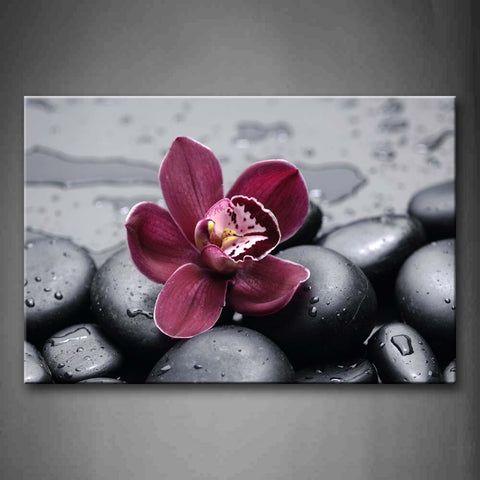Dark Red Orchid On Cobblestones Wall Art Painting Pictures Print On Canvas Flower The Picture For Home Modern Decoration 
