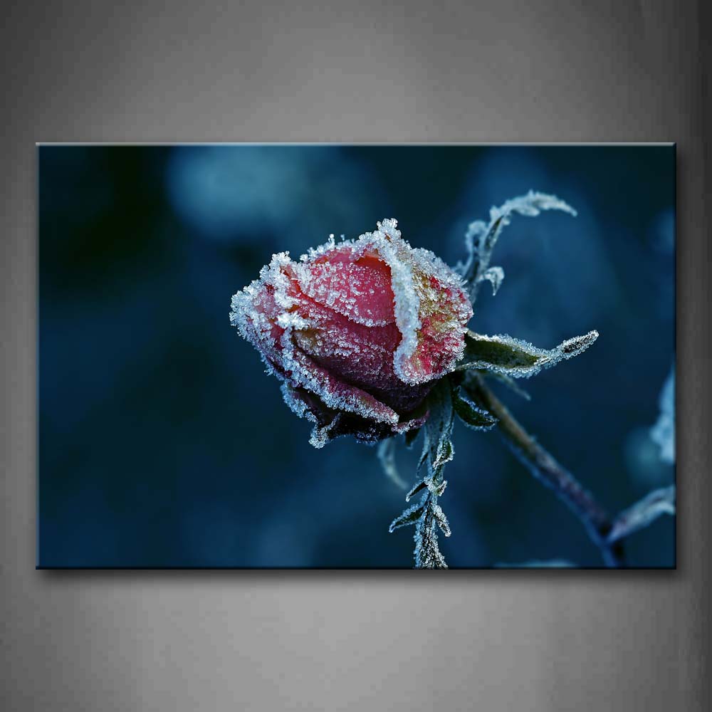 Red Rose Covered Frost  Wall Art Painting The Picture Print On Canvas Flower Pictures For Home Decor Decoration Gift 