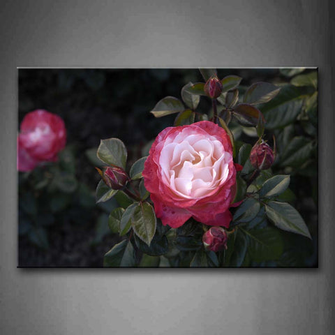 White And Pink Rose With Leafs  Wall Art Painting Pictures Print On Canvas Flower The Picture For Home Modern Decoration 