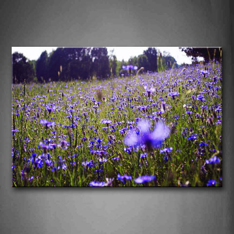 Purple Flower Grow In Grassland Wall Art Painting Pictures Print On Canvas Flower The Picture For Home Modern Decoration 