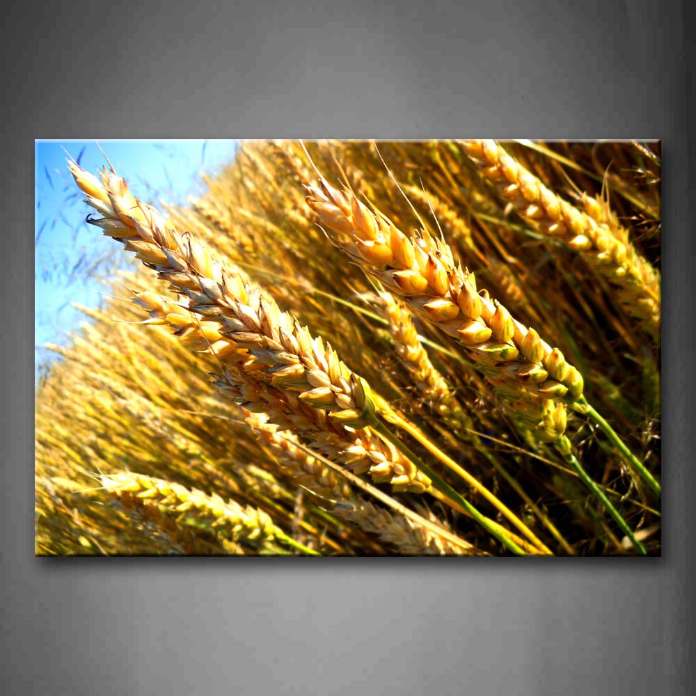 Thick Wheat Portrait Wall Art Painting Pictures Print On Canvas Flower The Picture For Home Modern Decoration 