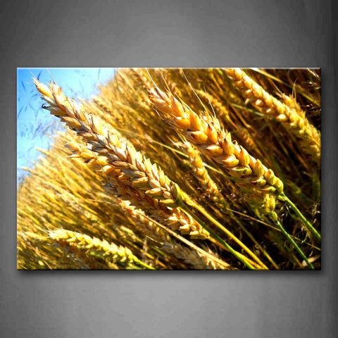 Thick Wheat Portrait Wall Art Painting Pictures Print On Canvas Flower The Picture For Home Modern Decoration 