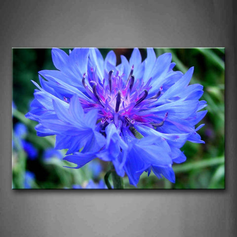 Purple Flower Portrait Wall Art Painting The Picture Print On Canvas Flower Pictures For Home Decor Decoration Gift 