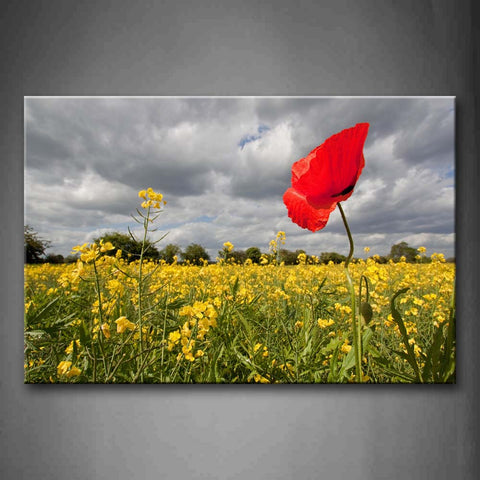 Red Flower Over Rape Flowers Thick Cloud Wall Art Painting The Picture Print On Canvas Flower Pictures For Home Decor Decoration Gift 