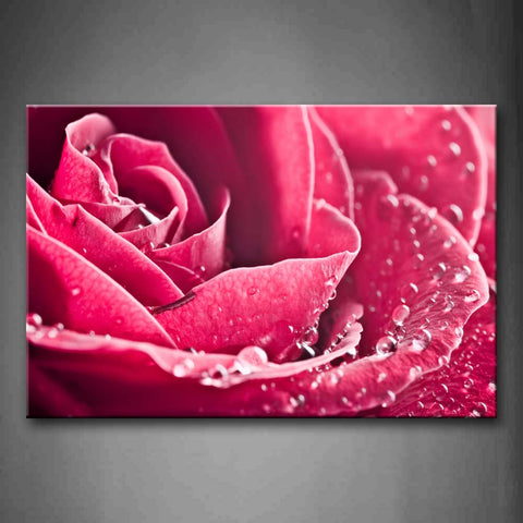 Pink Red Rose With Drop Of Water Portrait Wall Art Painting Pictures Print On Canvas Flower The Picture For Home Modern Decoration 