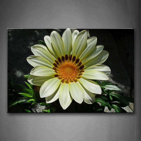 White And Yellow Flower On Rock With Leafs  Wall Art Painting The Picture Print On Canvas Flower Pictures For Home Decor Decoration Gift 