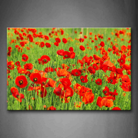 Many Red Poppys Grow In Grass Wall Art Painting The Picture Print On Canvas Flower Pictures For Home Decor Decoration Gift 