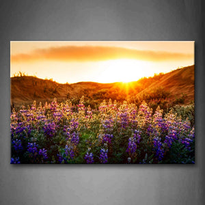 Purple Flower Grow On Mountain Sunset Wall Art Painting The Picture Print On Canvas Flower Pictures For Home Decor Decoration Gift 