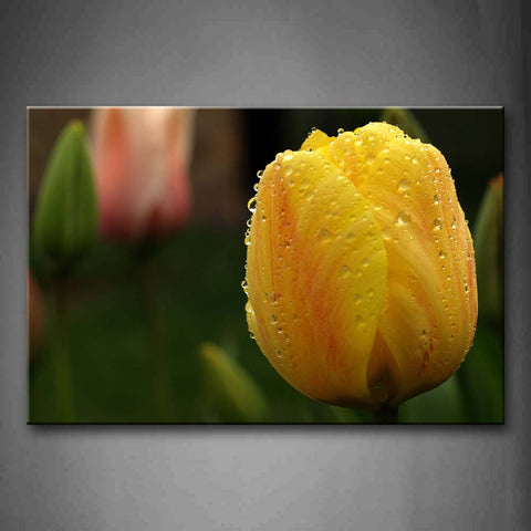 Water Drop On Yellow Tulip Wall Art Painting Pictures Print On Canvas Flower The Picture For Home Modern Decoration 