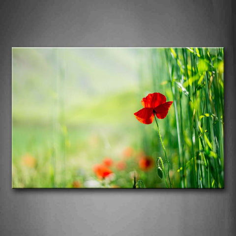 Red Poppy Grow Near Tall Grass Wall Art Painting Pictures Print On Canvas Flower The Picture For Home Modern Decoration 