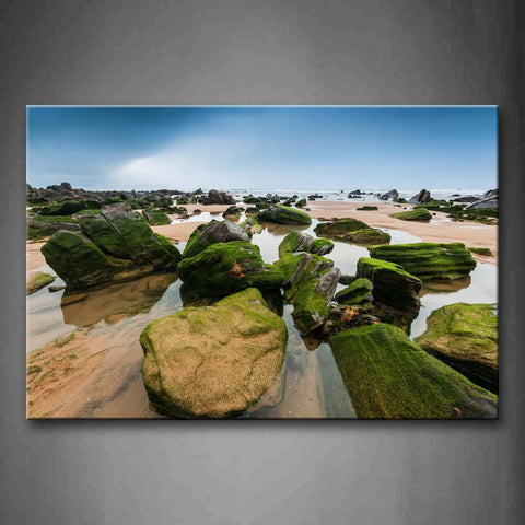 Moss Grow On Rock On Beach Wall Art Painting The Picture Print On Canvas Landscape Pictures For Home Decor Decoration Gift 