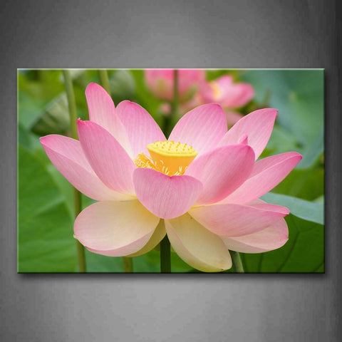 Pink Lotus With Leafs Wall Art Painting Pictures Print On Canvas Flower The Picture For Home Modern Decoration 