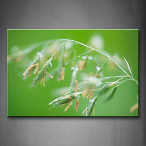 Grass Grow Yellow Ugly Flower Wall Art Painting The Picture Print On Canvas Botanical Pictures For Home Decor Decoration Gift 