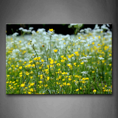 A Group Of Yellow And White Flower Wall Art Painting Pictures Print On Canvas Flower The Picture For Home Modern Decoration 