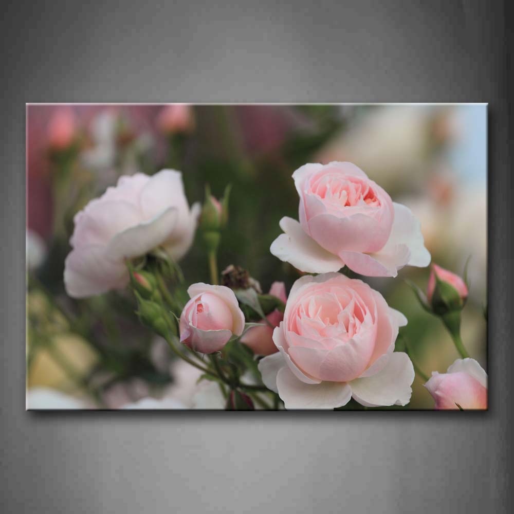 Pink And White Roses On Branch Wall Art Painting The Picture Print On Canvas Flower Pictures For Home Decor Decoration Gift 