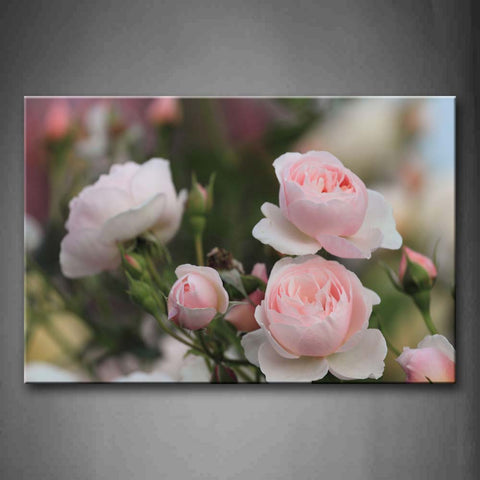 Pink And White Roses On Branch Wall Art Painting The Picture Print On Canvas Flower Pictures For Home Decor Decoration Gift 