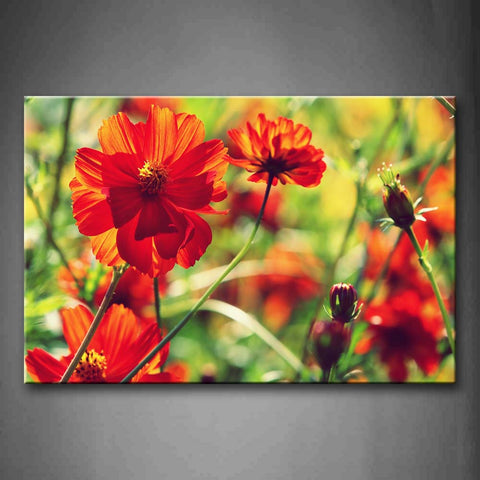 Flower And Buds In Grass Wall Art Painting Pictures Print On Canvas Flower The Picture For Home Modern Decoration 