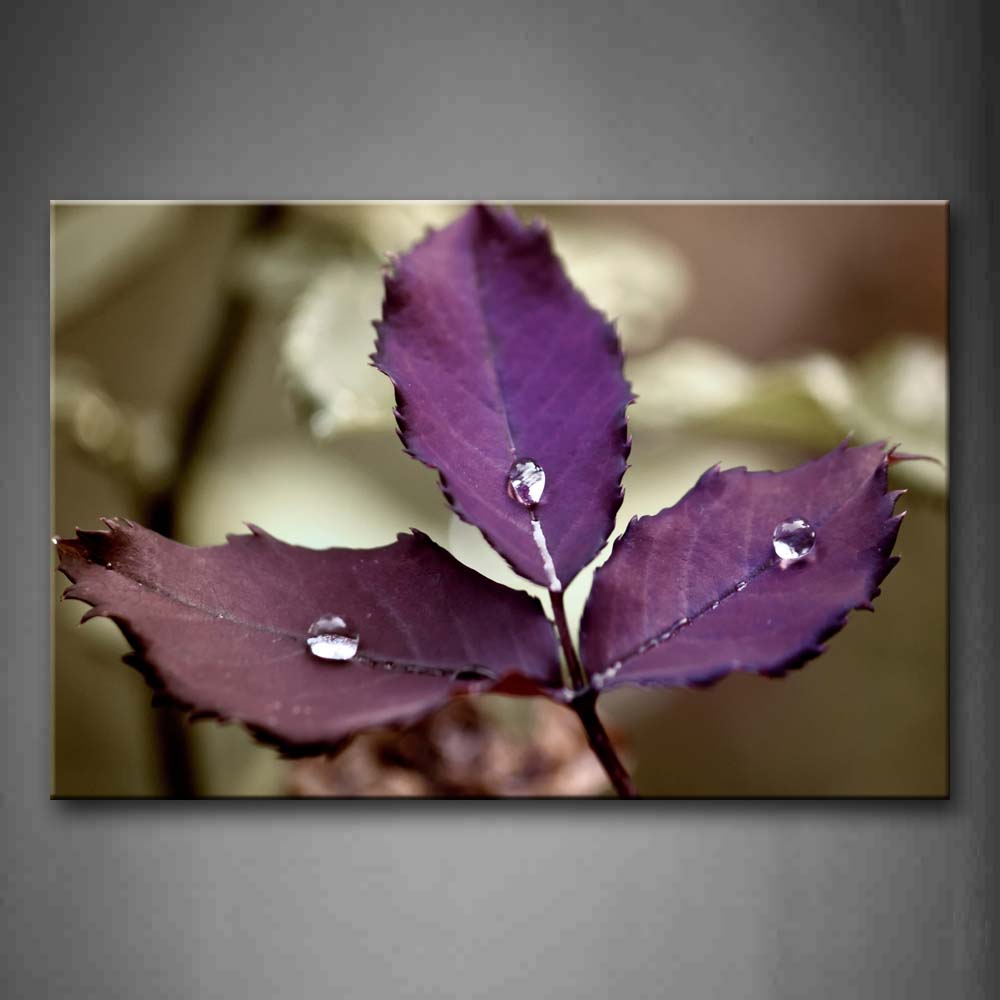 Drop Of Water On Three Pieces Of Purple Leafs Wall Art Painting The Picture Print On Canvas Flower Pictures For Home Decor Decoration Gift 