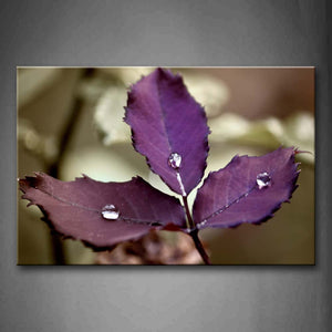 Drop Of Water On Three Pieces Of Purple Leafs Wall Art Painting The Picture Print On Canvas Flower Pictures For Home Decor Decoration Gift 