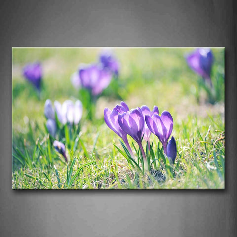 Purple Flower Grow On Grass Wall Art Painting Pictures Print On Canvas Flower The Picture For Home Modern Decoration 