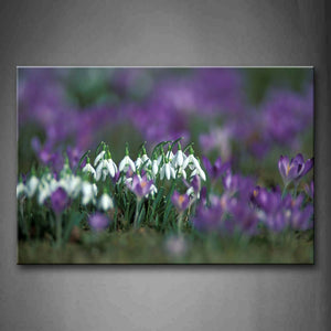 White And Purple Flower On Land Wall Art Painting Pictures Print On Canvas Flower The Picture For Home Modern Decoration 