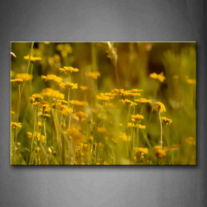 Yellow Flower In Grass Wall Art Painting Pictures Print On Canvas Flower The Picture For Home Modern Decoration 