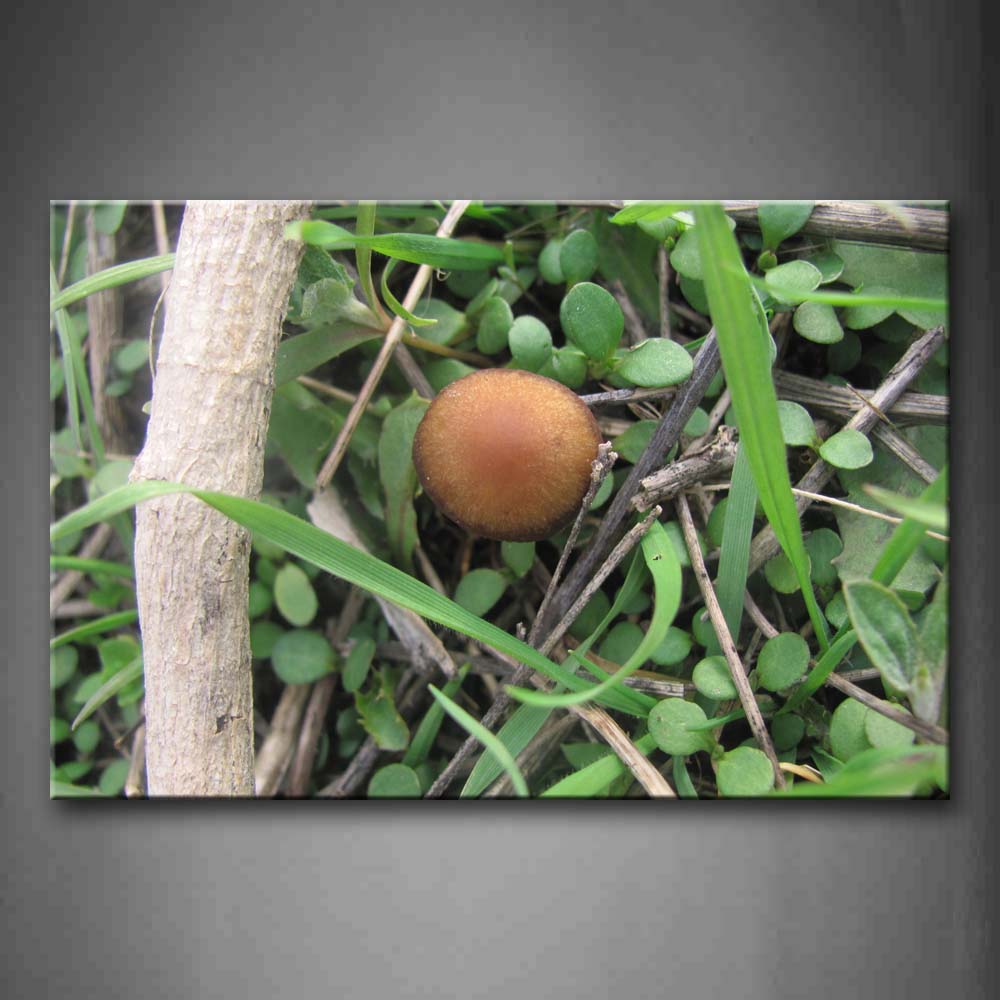 Yellow Mushroom Grow On Grass  Wall Art Painting Pictures Print On Canvas Botanical The Picture For Home Modern Decoration 