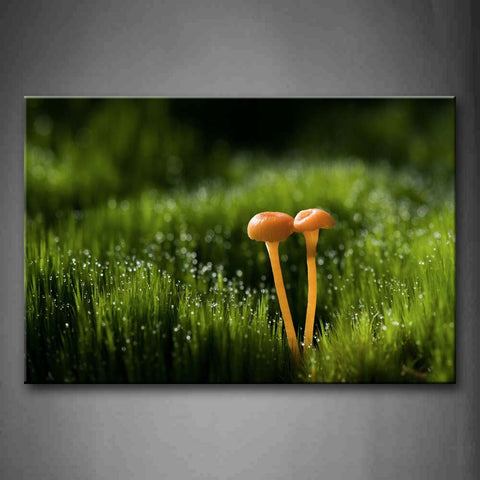 Two Small Mushrooms In Green Grass Wall Art Painting Pictures Print On Canvas Botanical The Picture For Home Modern Decoration 