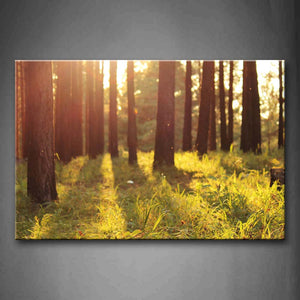 Sun Through Forest Grass On Land Wall Art Painting The Picture Print On Canvas Landscape Pictures For Home Decor Decoration Gift 