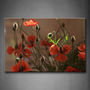 Red Poppys And Buds With Leafs  Wall Art Painting Pictures Print On Canvas Flower The Picture For Home Modern Decoration 