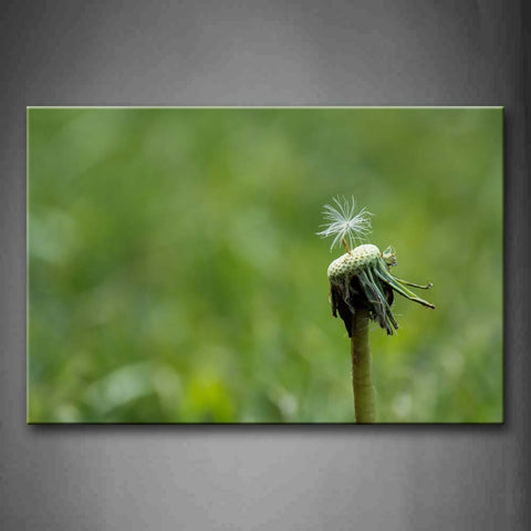 Sear Dandelion Portrait Wall Art Painting The Picture Print On Canvas Flower Pictures For Home Decor Decoration Gift 