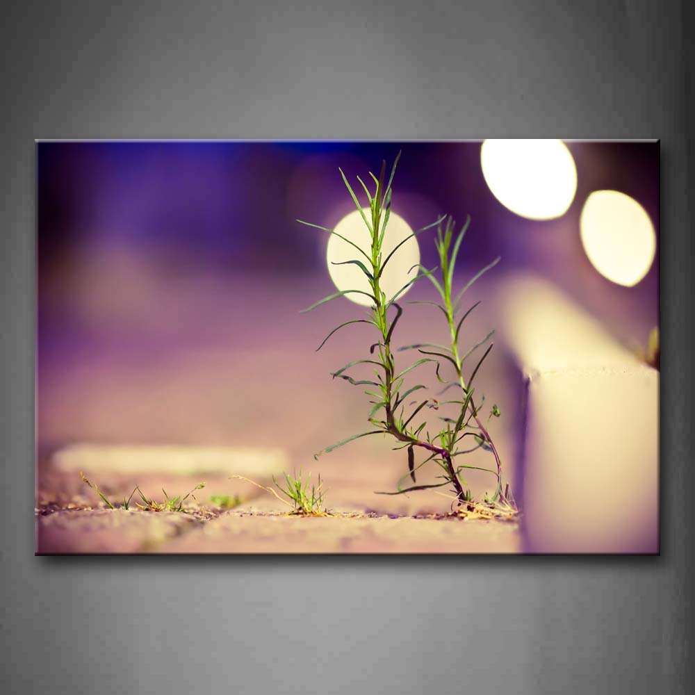 Plant Grow On Path Portrait Wall Art Painting Pictures Print On Canvas Landscape The Picture For Home Modern Decoration 