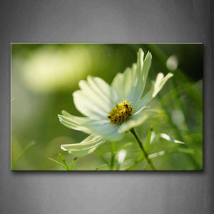 White Flower With Yellow Anther Portrait Wall Art Painting The Picture Print On Canvas Flower Pictures For Home Decor Decoration Gift 