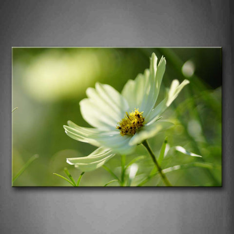 White Flower With Yellow Anther Portrait Wall Art Painting The Picture Print On Canvas Flower Pictures For Home Decor Decoration Gift 