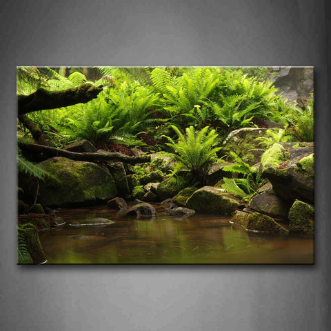 Ferns Grow In Stones Near Small Pool Moss Wall Art Painting The Picture Print On Canvas Botanical Pictures For Home Decor Decoration Gift 