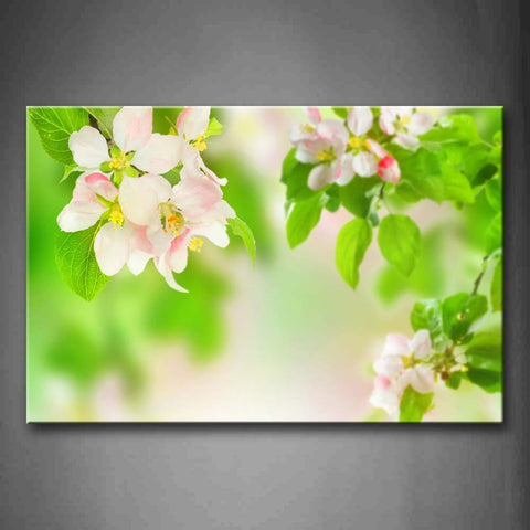 Pink And White Blossoms On Branch Wall Art Painting Pictures Print On Canvas Flower The Picture For Home Modern Decoration 