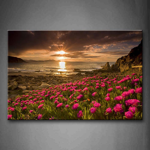 A Group Of Pink Flowers On Coastline Many Stones Bright Sun Wall Art Painting Pictures Print On Canvas Flower The Picture For Home Modern Decoration 