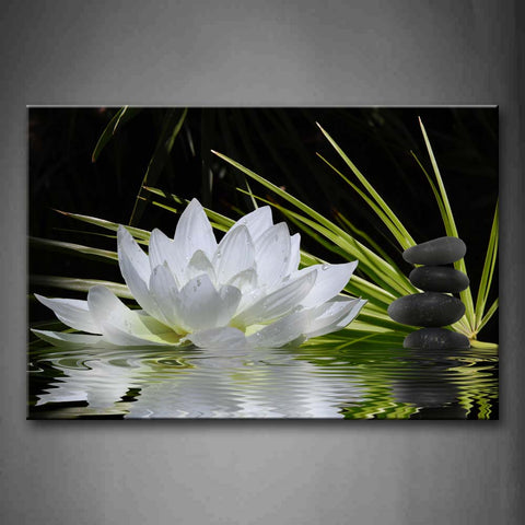 White Flower With Black Rocks On Water Wall Art Painting The Picture Print On Canvas Flower Pictures For Home Decor Decoration Gift 