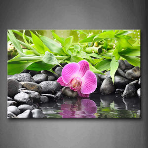 Purple Orchid Fall Down On Black Pebbles Wall Art Painting The Picture Print On Canvas Flower Pictures For Home Decor Decoration Gift 